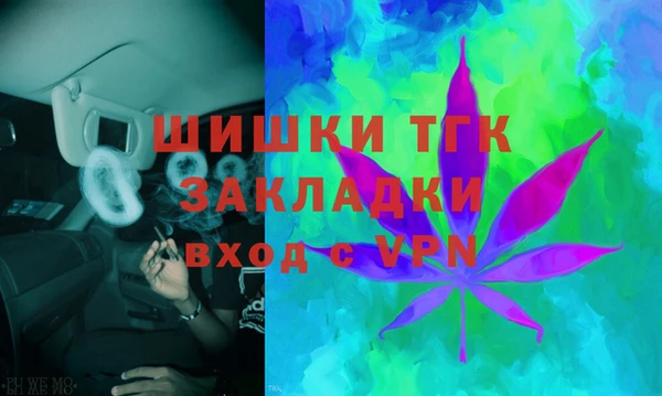 прущие грибы Арсеньев