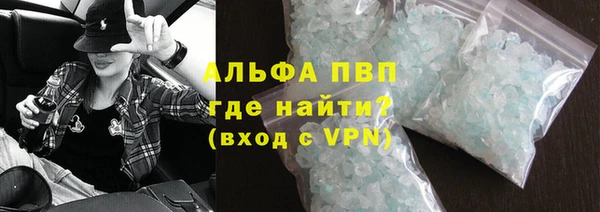 прущие грибы Арсеньев