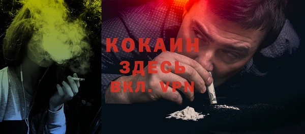 прущие грибы Арсеньев