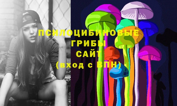 тгк Армянск