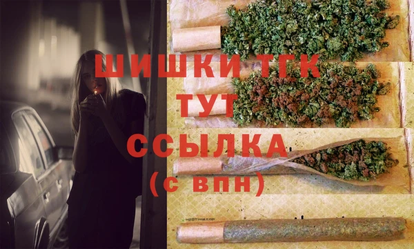 тгк Армянск