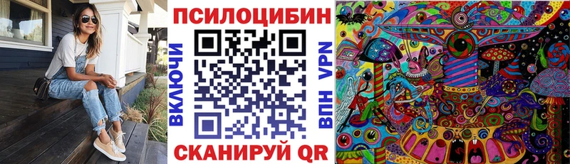 Галлюциногенные грибы Psilocybine cubensis  Истра 